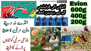 Anda ne deny wali murgi ka ilaj  Vitamin E for Chickens  Evion Capsule For Poultry hen and birds [upl. by Mackenzie]