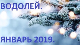 ВОДОЛЕЙ Январь 2019 Общий Таро Прогноз [upl. by Ennaj]