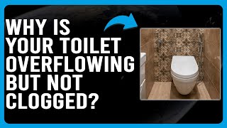 Why Is Your Toilet Overflowing But Not Clogged How To Fix Overflowing Toilet But Not Clogged [upl. by Greenquist685]