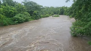 Siguen creciendo los rios por las luvias🌧en el Salvador😱 [upl. by Joyan]