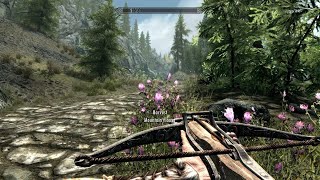 Skyrim  Bear vs Poison bolt [upl. by Asiil311]