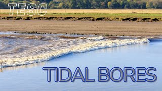 What are tidal bores [upl. by Wilbur]