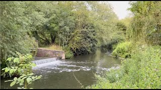 AOAA River Cherwell  Holywell Meadows [upl. by Geesey276]