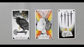 tarot chọn tụ bài bạn được gì khi xuôi dòng [upl. by Bernadine]