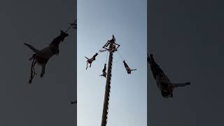 Los voladores en Cuetzalan [upl. by Yonah213]