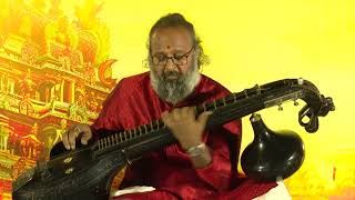 Navaavarnam Live Concert నవావర్ణము Veena amp Music by Phani Narayana [upl. by Sirama]