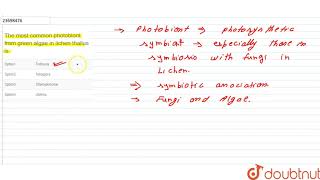 The most common photobiont from green algae in lichen thallus is [upl. by Nanyt]