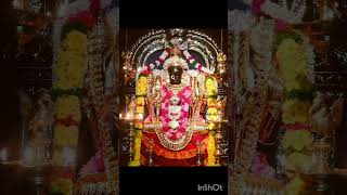 🙏🌺 kamatchi amman  meenatchi meenatchistatus kamatchi shortsfeed god [upl. by Sophi]