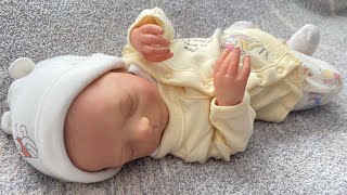 Reborn Doll RoleplayASMR Style Reborn Baby Wyatt Gets His Newborn Photos Taken [upl. by Welcome695]