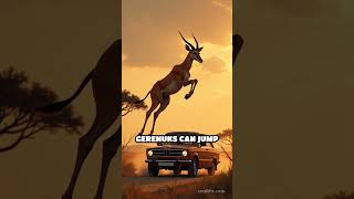 Incredible Gerenuk Facts You Didnt Know [upl. by Lange]