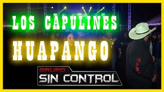 ‘LOS CAPULINES’ HUAPANGO GRUPO SIN CONTROL [upl. by Irme]