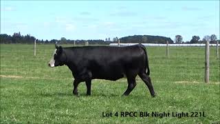 Lot 4 RPCC Blk Night Light 221L [upl. by Raamal672]