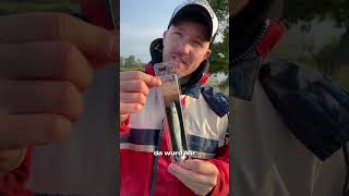 Wie ist der neue im Verein bei dir  angeln fishing anglerfish comedyvideo [upl. by Demetria]