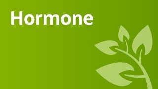 Hormone – Einfluss in der Pubertät und auf die Sexualität  Biologie [upl. by Fredela]