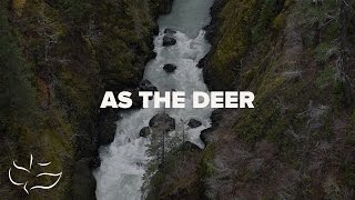 As the Deer  Lyric Video [upl. by Tait]