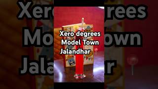 Xero degrees Model Town Jalandhar trending food viralvideo foodie [upl. by Dasya]