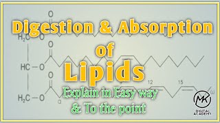 Digestion and absorption of Lipids  Biochemistry  Mirha Coaching Academy [upl. by Yesrej]