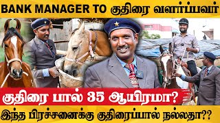 குதிரை வளர்ப்பில் இவ்வளவு வருமானமா குதிரை பராமரிப்பு  Balasubramanian  Horse Maintenance [upl. by Nivej]