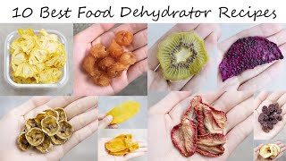 10 Best Food Dehydrator Recipes You Will Want to Try [upl. by Lira82]