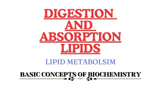 Digestion and Absorption of Lipids  Monoacyl glycerol pathway  Bergstrom theory [upl. by Mackenzie]