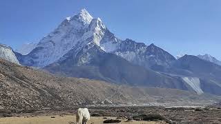 Mt Amadablam and Feriche valley [upl. by Naimed466]