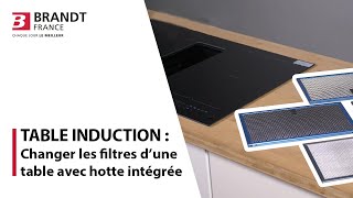 Comment changer les filtres dune table avec hotte intégrée [upl. by Ihana]