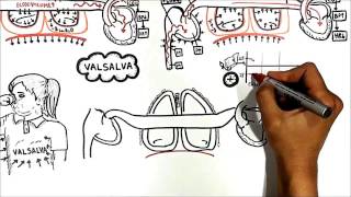 Cardiovascular changes with ventilation USMLE step 1 [upl. by Shuler690]