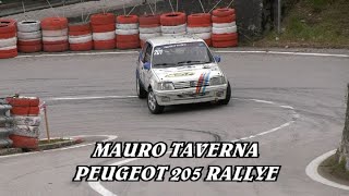 SALITA PEDAVENA  CROCE DAUNE 2024  MAURO TAVERNA  PEUGEOT 205 RALLYE  BY BELLUNOVIDEO [upl. by Bander]