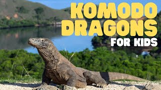 Komodo Dragons for Kids  Learn all about these apex predators [upl. by Aivilys630]