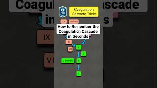 How to Remember the Coagulation Cascade in Seconds Pathway Made Easy [upl. by Sephira]