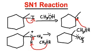 SN1 Reaction  Mechanism Protic Solvent Racemic Mixture  Organic Chemistry [upl. by Emmye331]