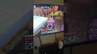 Crafting Wolf armor and Armadillo acutes in Minecraft [upl. by Scurlock]