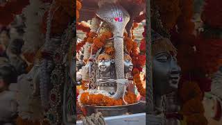 Har har Mahadev reel love misha shyam mishaan devotionalsong song mishaa harharmahadevsong [upl. by Gwenette]