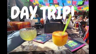 Day Trip to Los Algodones Baja California MX [upl. by Tammara]