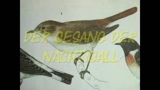 Der Gesang der Nachtigallmpg [upl. by Yevreh983]