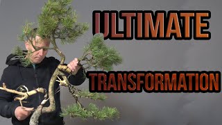 Ultimate transformation [upl. by Giulia]