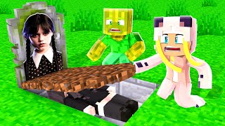 Wir BETRETEN das WEDNESDAY GRAB ✿ Minecraft [upl. by Blaseio386]