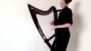 The Nightingale  D HensonConant EHarfe  Eharp [upl. by Celine575]