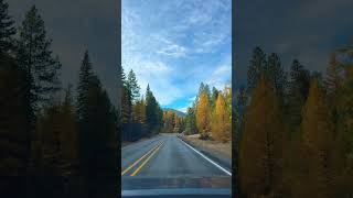 Okanogan Washington autumn drive 102624 🍂🎃💯🤙🏾 autumn fallfoliage okanogan washington [upl. by Reggy504]