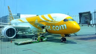 Scoot TR894 Singapore to Kaohsiung Review Boeing 7878 [upl. by Jegger]