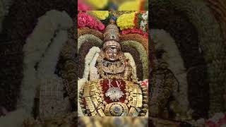 ஓம் நமசிவாய l Sivan Video sivan shiv Tiruvannamalai annamalaiyar girivalam arunachalam lord [upl. by Hoj]