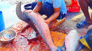 Amazing Big Blood Carp Fish Cutting Skills Live In Bangladesh  Giant Carp Fish Cutting fishcutting [upl. by Aneema640]