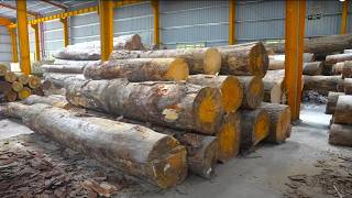 GIANT WOOD LOGS to WOODEN PALLETS The Amazing Process in VIETNAM [upl. by Etteval]