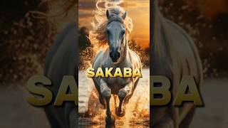 Horse name of prophet Muhammad SAWislmicvideo shortfeed top [upl. by Burn410]