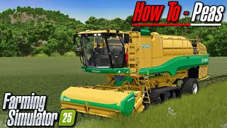 FS25 Tutorial  Peas  Farming Simulator 25 [upl. by Ylloj463]