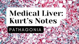 Medical Liver Kurt’s Notes pathagonia [upl. by Acinej]