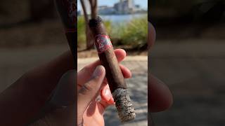 Privada Cigar Club Let Them Eat Cake Cigar Review cigar review cigarlife cigars coffee how to [upl. by Akinuahs]