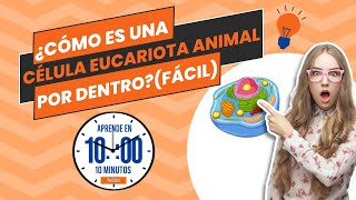 ¿Cómo es una célula eucariota animal por DENTRO FÁCIL [upl. by Lleznod]