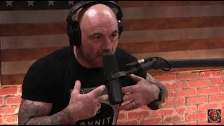 Joe Rogan  Does Free Will Exist [upl. by Bowne168]