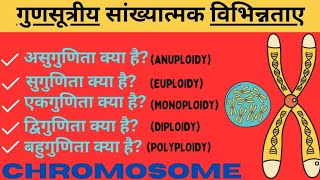 गुणसूत्र में संख्यात्मक विपथन  असुगुणिता Aneuploidyसुगुणिता Euploidy बहुगुणिता Polyploidy [upl. by Hsepid]